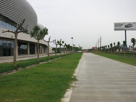 渭南体育中心室外景观绿化工程